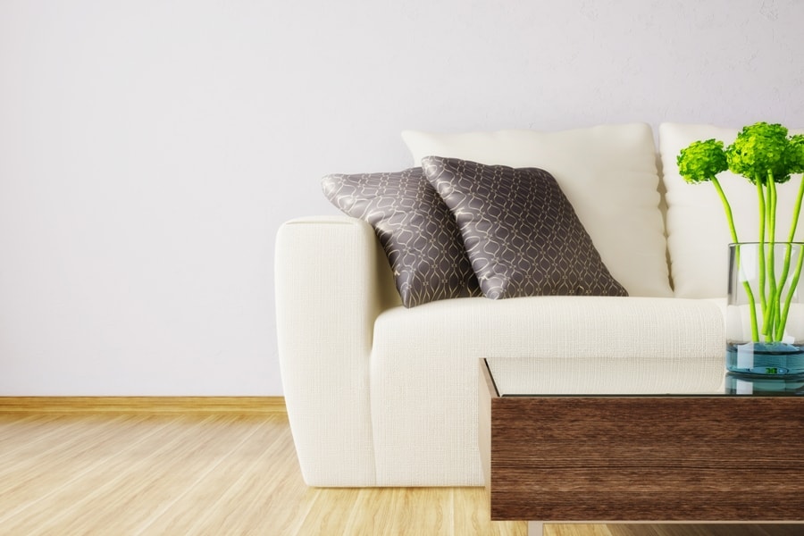 Domestic Clean: Standard